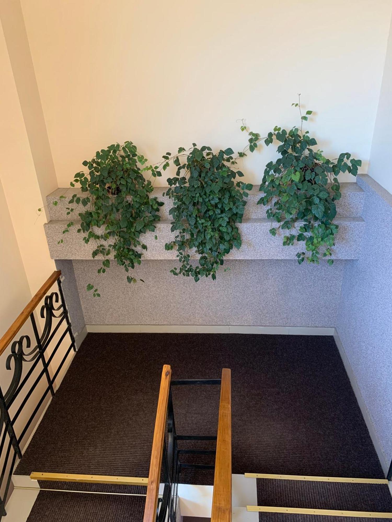 לבוב Hostel Iskra מראה חיצוני תמונה